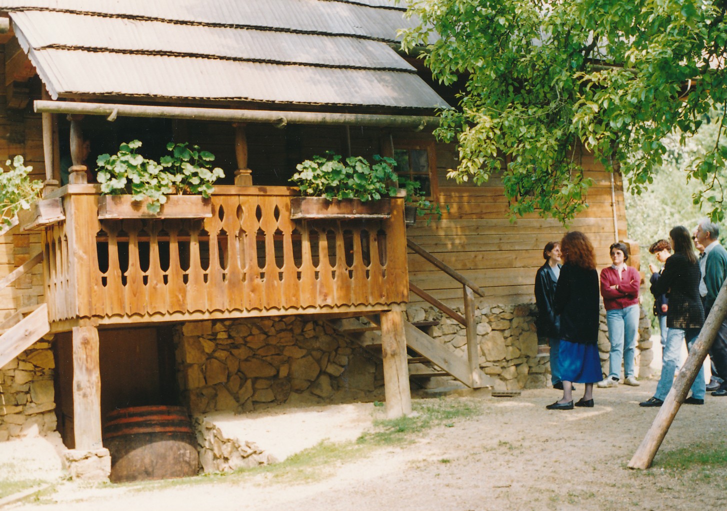 eika image